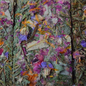 Buntanical Chips Organic Blend of Flowers, Herbs, & Timothy Grass Mimics Natural Foraging Instinct image 4