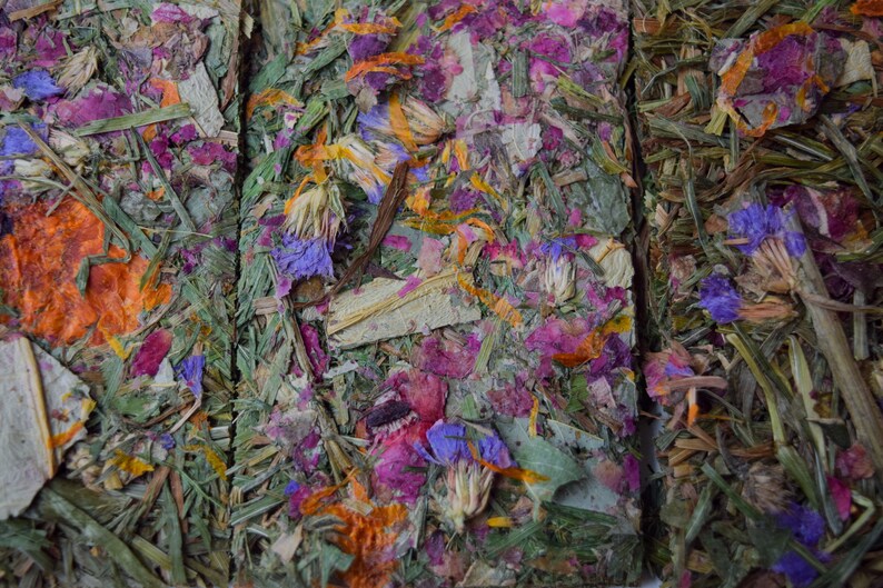 Buntanical Chips Organic Blend of Flowers, Herbs, & Timothy Grass Mimics Natural Foraging Instinct image 4