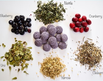 Bladder Treats | 100% Organic and Healthy Treats for Rabbits, Guinea Pigs & Other Small Pets