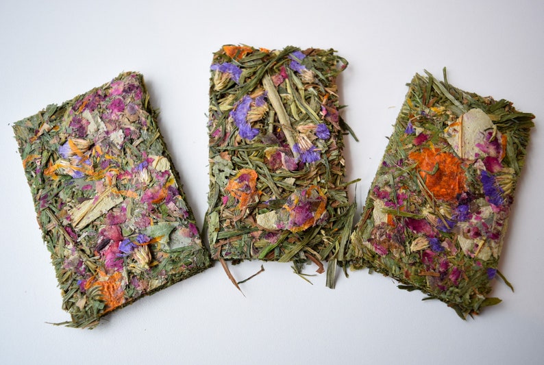 Buntanical Chips Organic Blend of Flowers, Herbs, & Timothy Grass Mimics Natural Foraging Instinct image 1