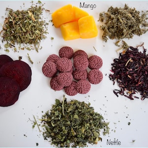 Pu&ograve; includere: Una variet&agrave; di erbe e frutti secchi, tra cui foglie di tarassaco, foglie di lampone, ortica, ibisco, barbabietola e mango. Gli ingredienti sono disposti su una superficie bianca.