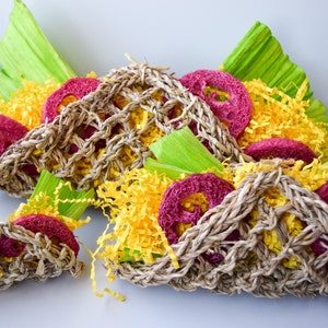 Taco Toy | Natural, Safe, Non-Toxic, Handmade Chew Toy for Rabbit, Guinea Pig, and Other Small Pets