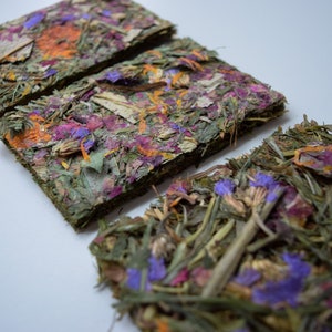 Buntanical Chips Organic Blend of Flowers, Herbs, & Timothy Grass Mimics Natural Foraging Instinct image 8