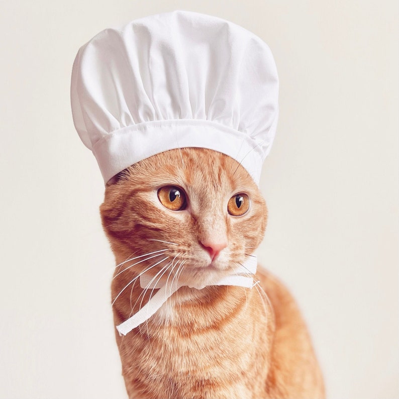 Mixy Mix Lil Chef Hat  Cat Baking Hat  Pet Dress Up or image 1