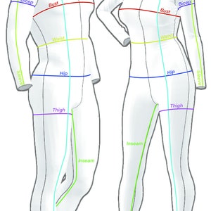 Puede incluir: Diagrama que muestra las medidas del cuerpo para la ropa, incluyendo cuello, hombro, busto, cintura, cadera, muslo, entrepierna y longitud.