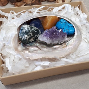 Kristalle für Schütze - Geburtsstein Set - Heilstein Set - Schütze Geschenkset - Abalone Muschel - Sternzeichen Geschenkbox, Schütze Steine