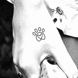 6 Empreintes De Chat Pistes Traces De Chat Tatouages Etsy 6 Empreintes De Chat Pistes Traces De Chat Tatouages Etsy