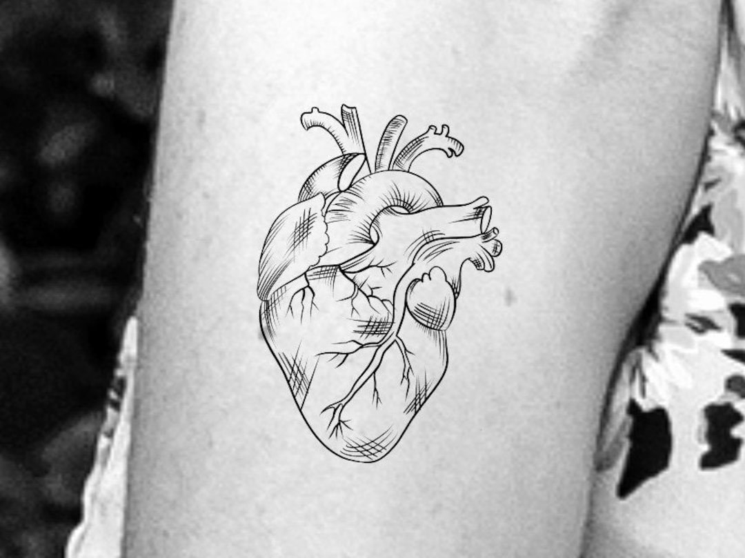 Details more than 63 anatomical heart tattoo sketch