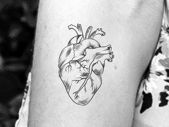 90 Anatomical Heart Tattoo Designs for Men [2024 Guide]