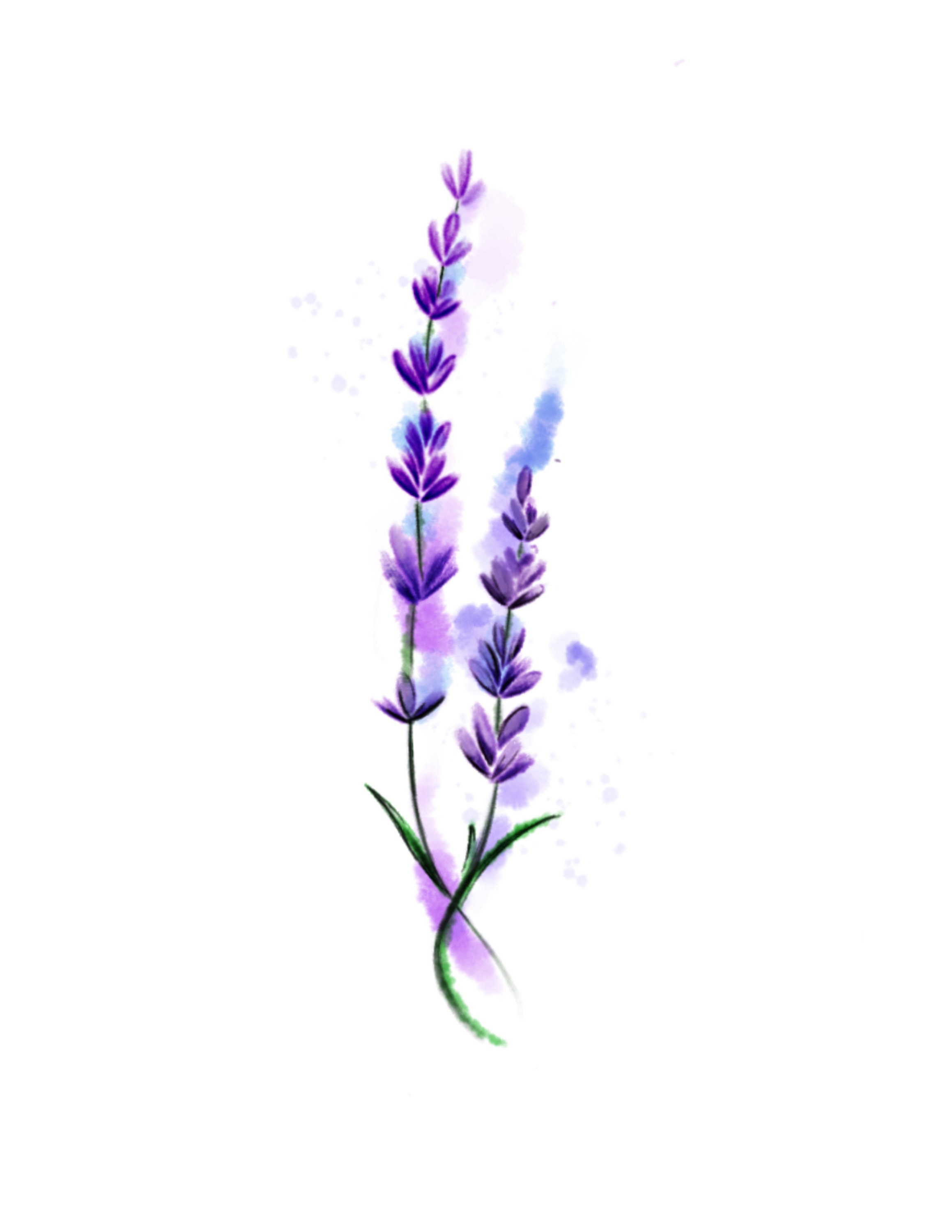 Lavender Temporary Tattoo / watercolor tattoo / floral tattoo / small tattoo  / temp tattoo