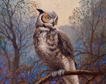 Owl original oil painting Birds art 16 x 24"
