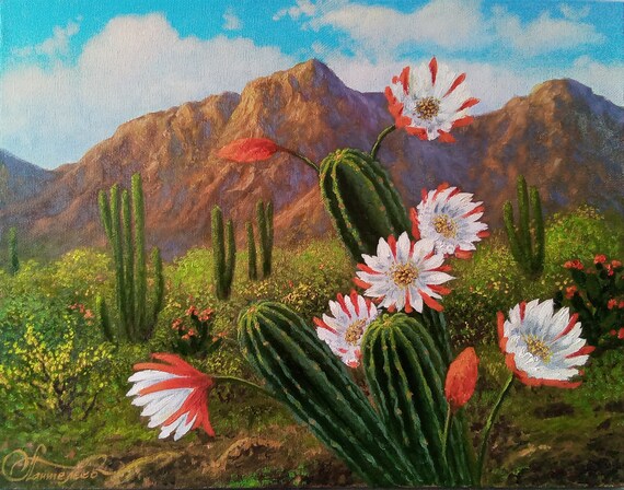 Desert Cactus Flower Landscape Desert Cactus Flower Landscape