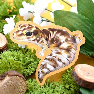 Leopard Gecko Vinyl Waterproof Sticker ~ Cute Pet Lizard Kawaii Reptile Animal Water Bottle Laptop
