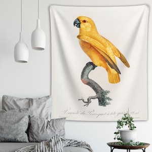 Senegal Parrot Tapestry Natural History of Parrots - Francois Levaillant Wall Hanging Cute Yellow Parakeet Budgie Animal Bird Decor