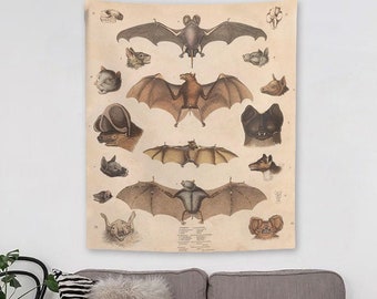 Vintage Bats Tapestry Retro Illustration Wall Hanging Bat Wall Art Sepia Brown Beige Vintage Animal Decor Halloween Spooky Bat Decor