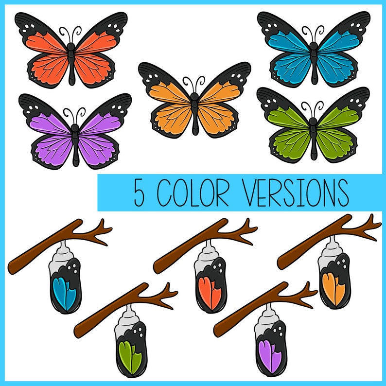 Butterfly Life Cycle Clip Art | Science, Earth Science, Spring - Etsy