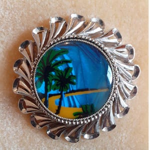 Vintage Exquisite Real Butterfly Wing Brooch