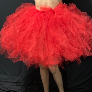 Mother’s Day photo shoot Valentine Day dinner Shimmering red accent knee length tutus