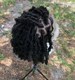 Ready to ship;Braided wig, Butterfly locs, Distressed locs, Butterfly locs wig, Locs, Faux locs, lace wig, faux locs wig, Distress locs 