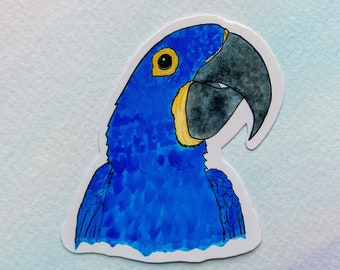 Adesivo Ara Giacinto, adesivo Ara, adesivo impermeabile, adesivo in vinile, adesivo pappagallo, adesivo bottiglia d'acqua, adesivo animale, arredamento animale