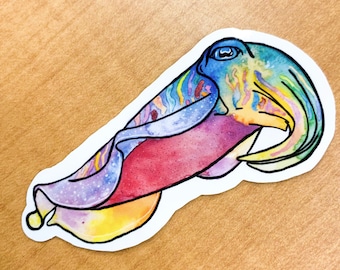 Op de afbeelding: Een kleurrijke aquarel-illustratie van een inktvis met een witte achtergrond. De inktvis is afgebeeld in tinten blauw, paars, geel, oranje en rood.