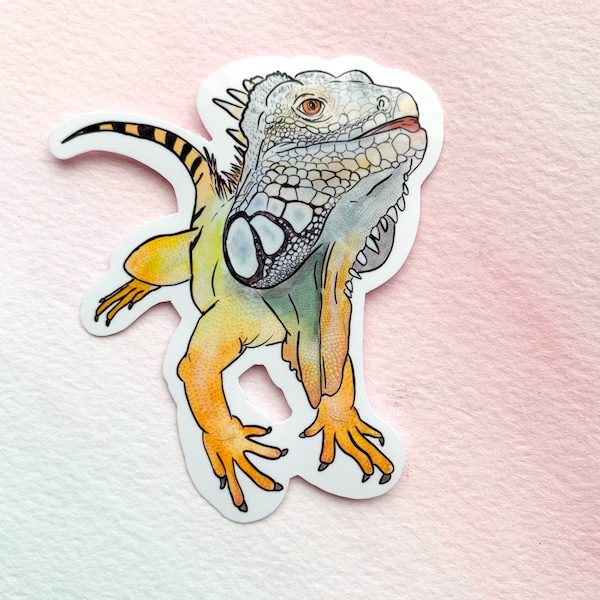 Iguana Sticker, waterproof sticker, waterbottle sticker, lizard sticker, wildlife sticker, reptile sticker, Green iguana sticker, car decal