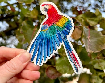 Adesivo ara scarlatta, adesivo ara, adesivo impermeabile, adesivo pappagallo, adesivo animale, ara scarlatta, regalo ara, regalo ara scarlatta, regalo ara scarlatto