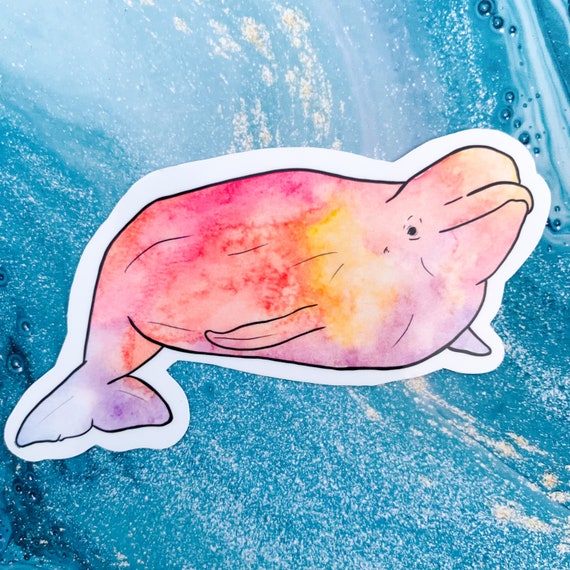 Rainbow beluga sticker beluga whale sticker Zookeeper | Etsy