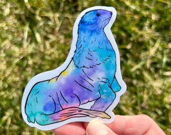 Rainbow fur Seal Sticker, fur seal sticker, rainbow monk seal, rainbow seal sticker, monk seal gift, fur seal, seal gift, rainbow seal