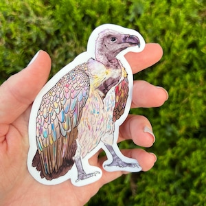 Rainbow Vulture Sticker, bird of prey sticker, waterproof sticker, waterbottle sticker, vulture sticker, vulture gift, vulture