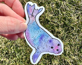 Rainbow harbor Seal Sticker, harbor seal sticker, rainbow harbor seal, rainbow seal sticker, harbor seal gift, seal gift, seal sticker
