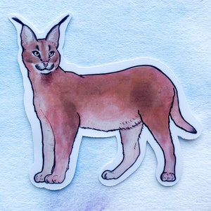 May include: A sticker of a brown and white caracal, a wild cat with long ears and a spotted coat, standing on a light blue background.