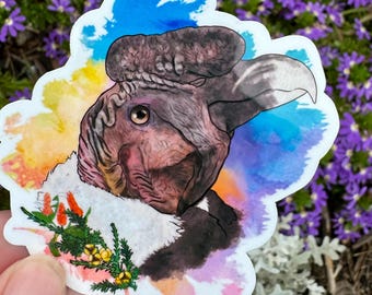 Sticker condor des Andes, sticker oiseau de proie, cadeau condor des Andes, sticker animal, sticker faune, condor des Andes, condor