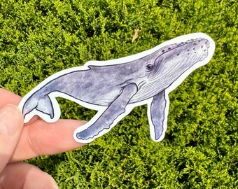 Sticker aquarelle baleine à bosse, sticker baleine à bosse, baleine arc-en-ciel, baleine à bosse, cadeau baleine à bosse, cadeau baleine, baleine