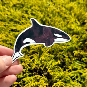 Watercolor orca sticker, orca sticker, killer whale sticker, orca gift, killer whale gift, animal gift, orca, killer whale, orca sticker