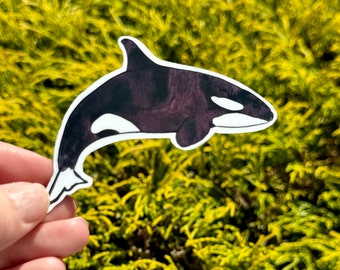 Watercolor orca sticker, orca sticker, killer whale sticker, orca gift, killer whale gift, animal gift, orca, killer whale, orca sticker
