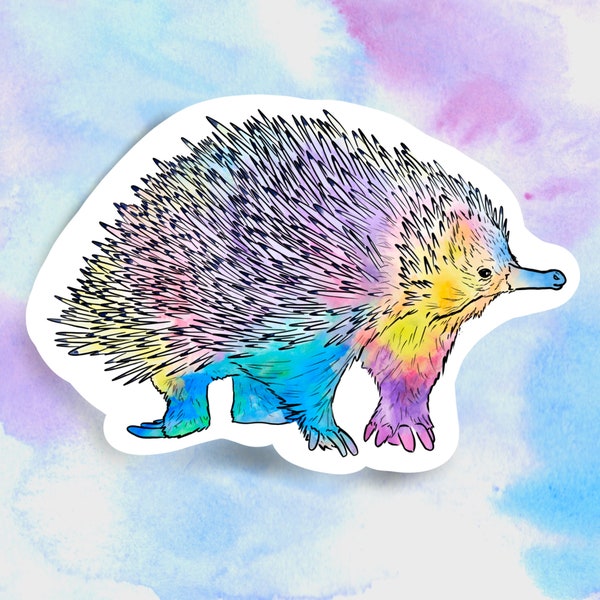 Rainbow echidna sticker, waterproof sticker, waterbottle sticker, animal sticker, echidna gift, zookeeper sticker, echidna sticker, echidna