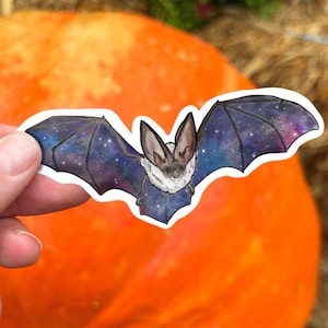 Galaxy bat Sticker, bat sticker, waterproof sticker, waterbottle sticker, animal sticker, rainbow bat, bat, bat gift, cute bat, animal gift