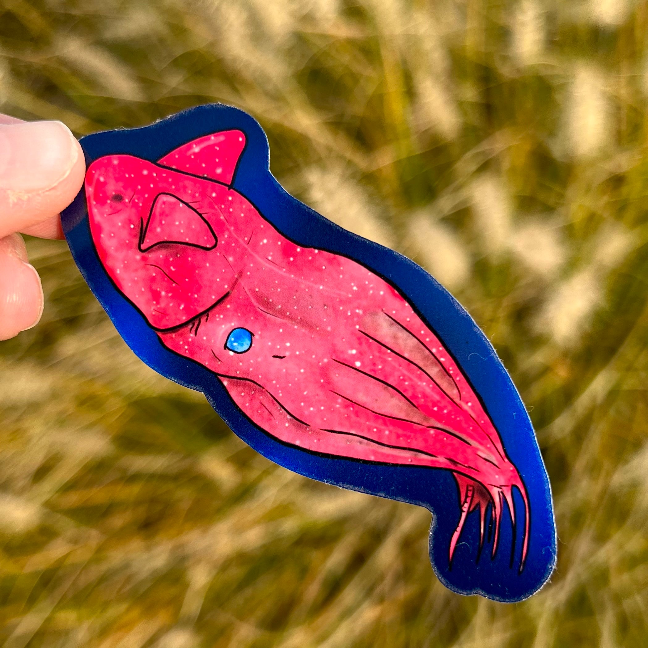 Vampire Squid Sticker, Waterproof Sticker, Vinyl Sticker, Squid Sticker ...