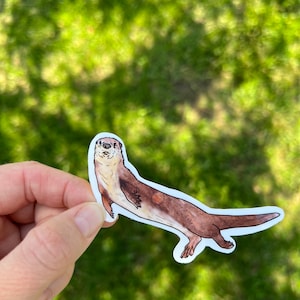 River otter sticker, waterproof sticker, vinyl sticker, otter sticker, water bottle sticker, animal sticker, otter gift