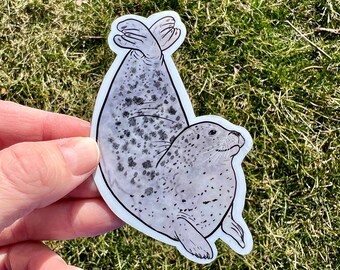 Harbor Seal Sticker, harbor seal sticker, rainbow harbor seal, rainbow seal sticker, harbor seal gift, seal gift, seal sticker