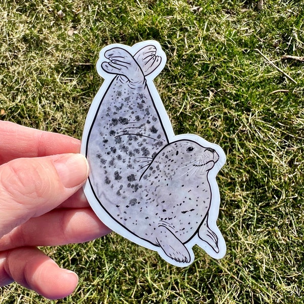 Harbor Seal Sticker, harbor seal sticker, rainbow harbor seal, rainbow seal sticker, harbor seal gift, seal gift, seal sticker