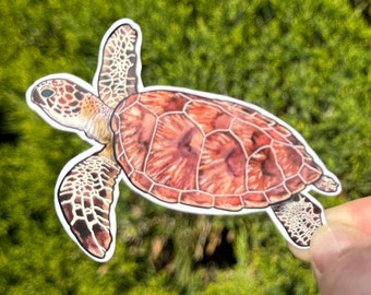 Green Sea turtle waterproof sticker, watercolor sticker, sea turtle sticker, turtle sticker, sea turtle, sea turtle gift, turtle gift