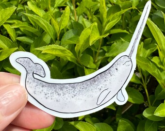 Sticker narval aquarelle, sticker narval, sticker gardien de zoo, sticker imperméable, sticker bouteille d'eau, sticker animal, cadeau narval
