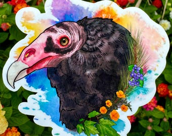 Sticker urubu, sticker oiseau de proie, cadeau vautour, sticker animal, sticker faune, vautour, vautour