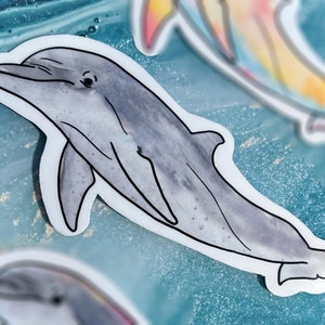 Bottlenose dolphin sticker, dolphin sticker, dolphin gift, waterproof sticker, bottle nose dolphin sticker, dolphin decor, dolphin