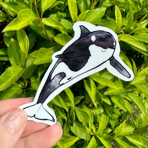 Watercolor orca sticker, orca sticker, killer whale sticker, orca gift, killer whale gift, animal gift, orca, killer whale, orca sticker