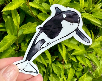 Watercolor orca sticker, orca sticker, killer whale sticker, orca gift, killer whale gift, animal gift, orca, killer whale, orca sticker