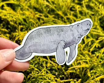 Sticker lamantin aquarelle, sticker imperméable, sticker lamantin, lamantin, cadeau lamantin, sticker aquarelle, sticker vinyle, cadeau animal