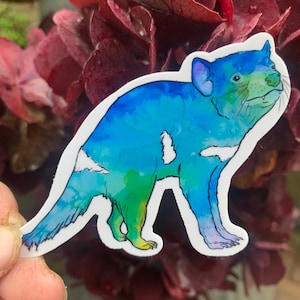 Könnte beinhalten: Ein Aquarell-Aufkleber eines Tasmanischen Teufels, ein fleischfressendes Beuteltier, das in Tasmanien, Australien, beheimatet ist. Der Aufkleber ist blau, grün und lila mit weißen Akzenten.